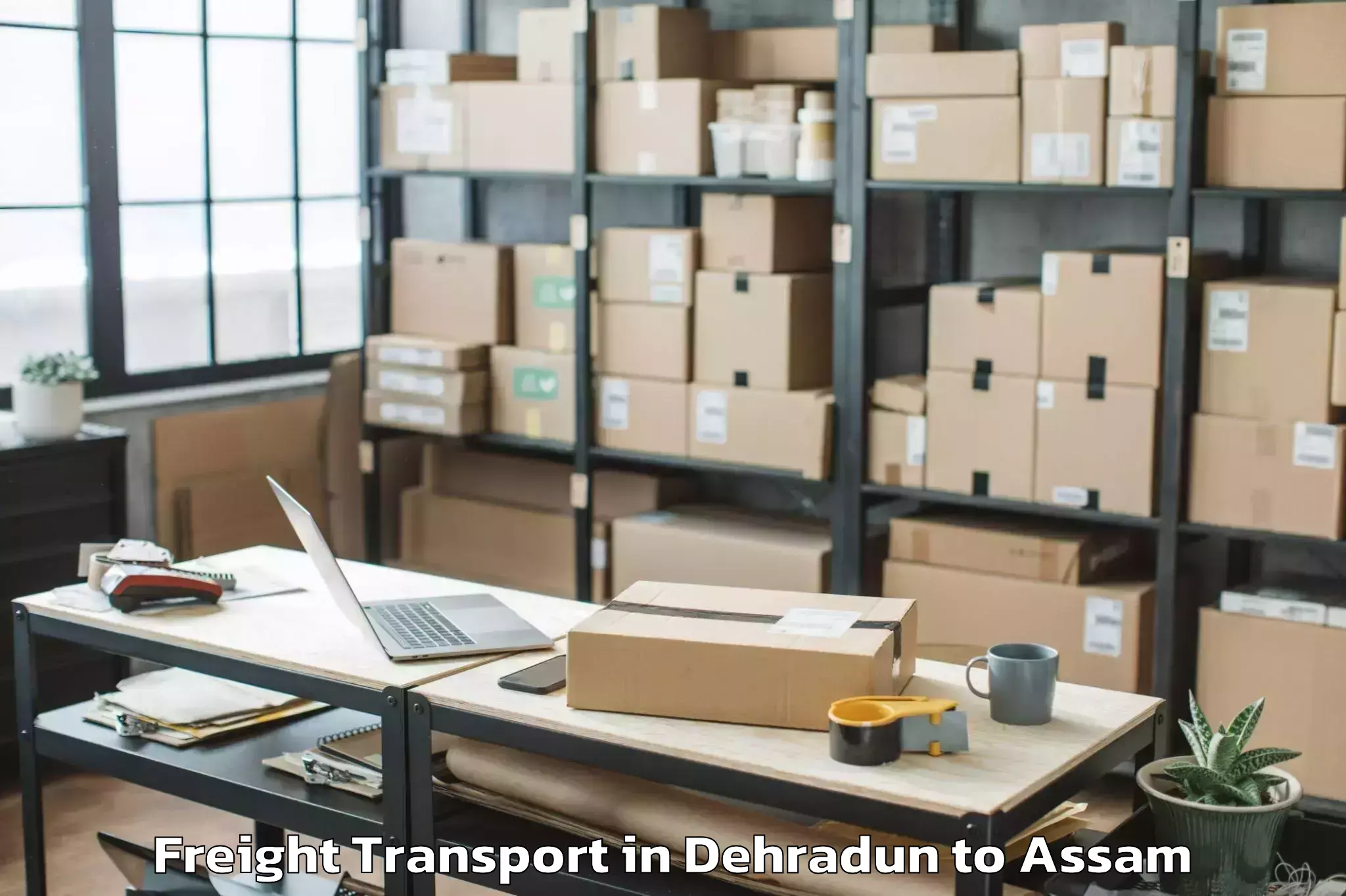 Professional Dehradun to Silapathar Freight Transport